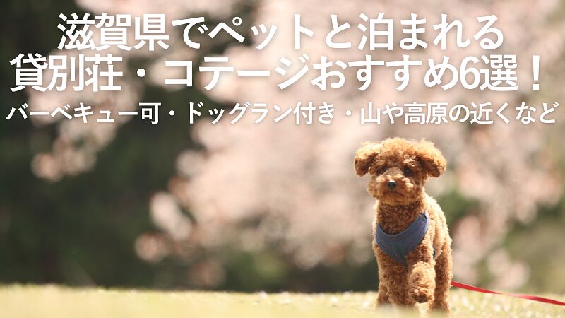 【2026年最新】滋賀県でペットと泊まれる貸別荘・コテージおすすめ6選!バーベキュー可・ドッグラン付き・山や高原の近くなど