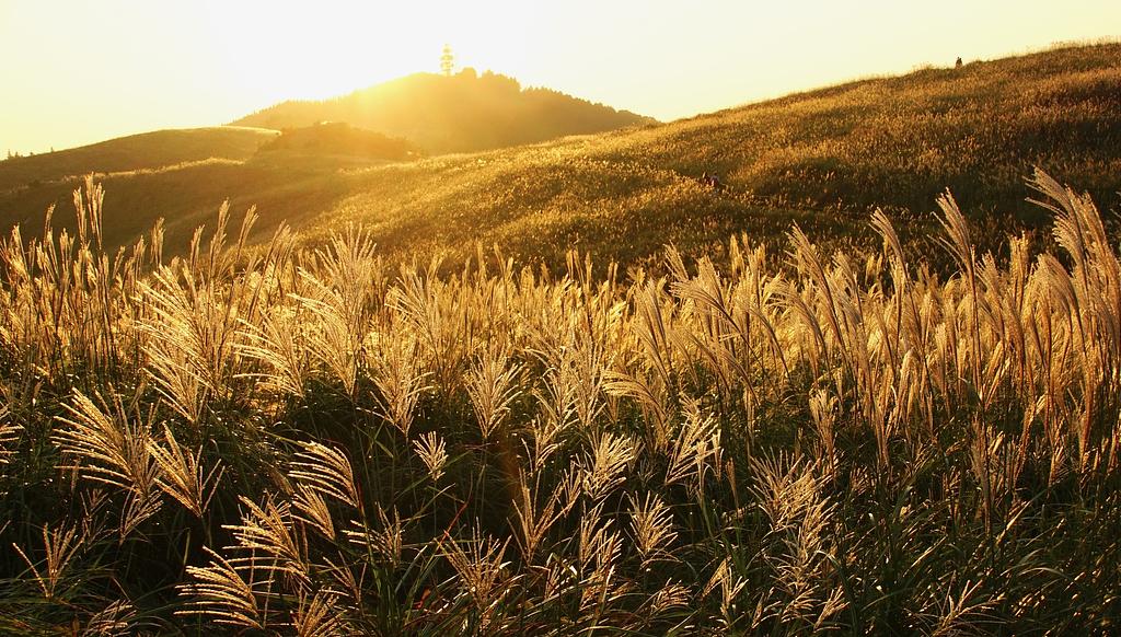 和歌山県 | 生石高原