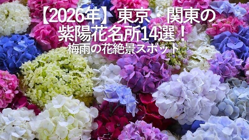 【2026年】東京・関東の紫陽花名所14選!梅雨の花絶景スポット