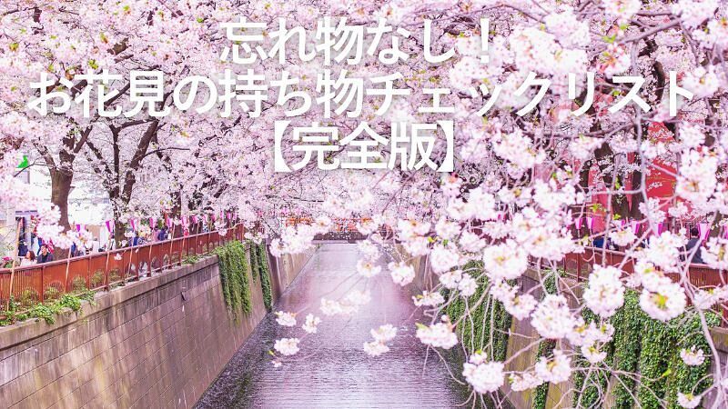 忘れ物なし!お花見の持ち物チェックリスト【完全版】