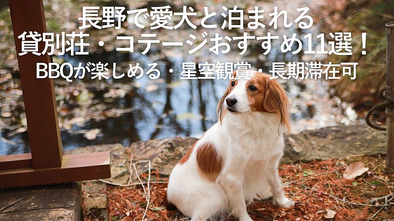 【2026年最新】長野で愛犬と泊まれる貸別荘・コテージおすすめ11選!BBQが楽しめる・星空観賞・長期滞在可