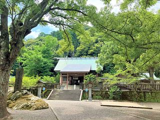 【安房神社】千葉県館山市にある安房国一之宮で【日本三大金運神社】の1つとして特に有名です。