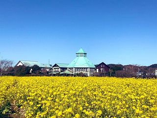 【枇杷俱楽部】南房総にある道の駅で、地元名産の房州びわをテーマにしたショップ・カフェ・体験施設です。