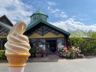 【枇杷俱楽部】富津館山道路「富浦IC」から車で約5分。施設より車で約3分。