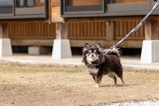 古民家一棟貸別荘 しずく亭 -Kominka SHIZUKU tei--image