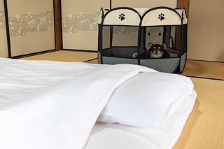 古民家一棟貸別荘 しずく亭 -Kominka SHIZUKU tei--image