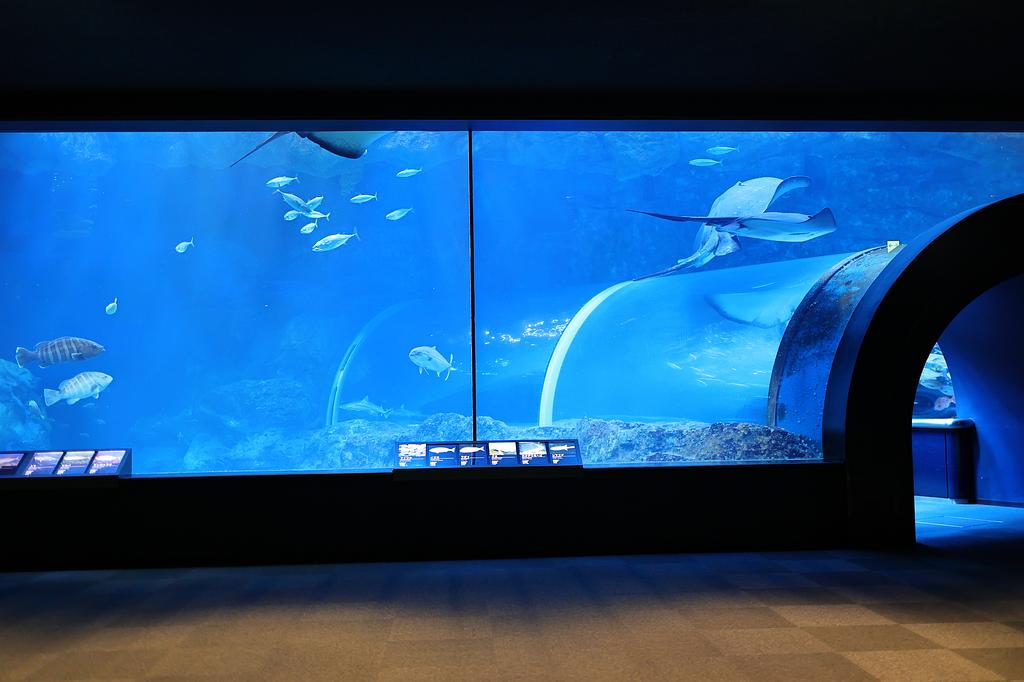 新潟県 | 新潟市水族館 マリンピア日本海