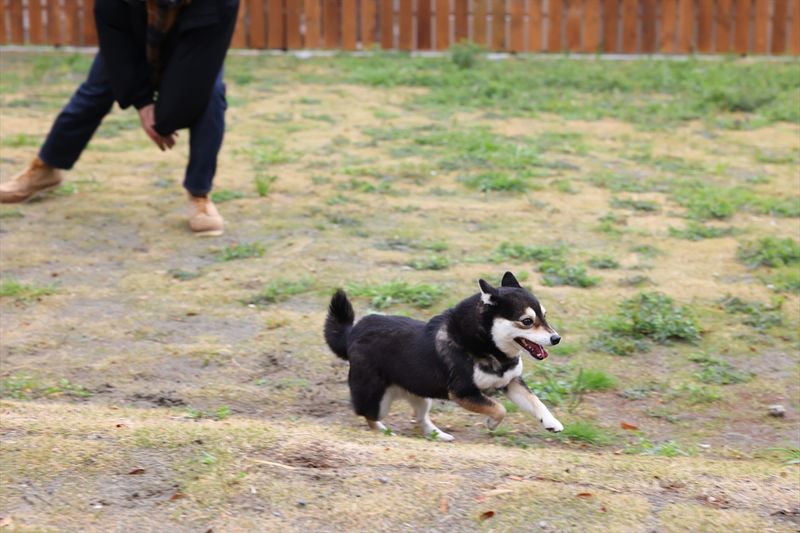 AND LIKE SERIES 別邸2nd-image