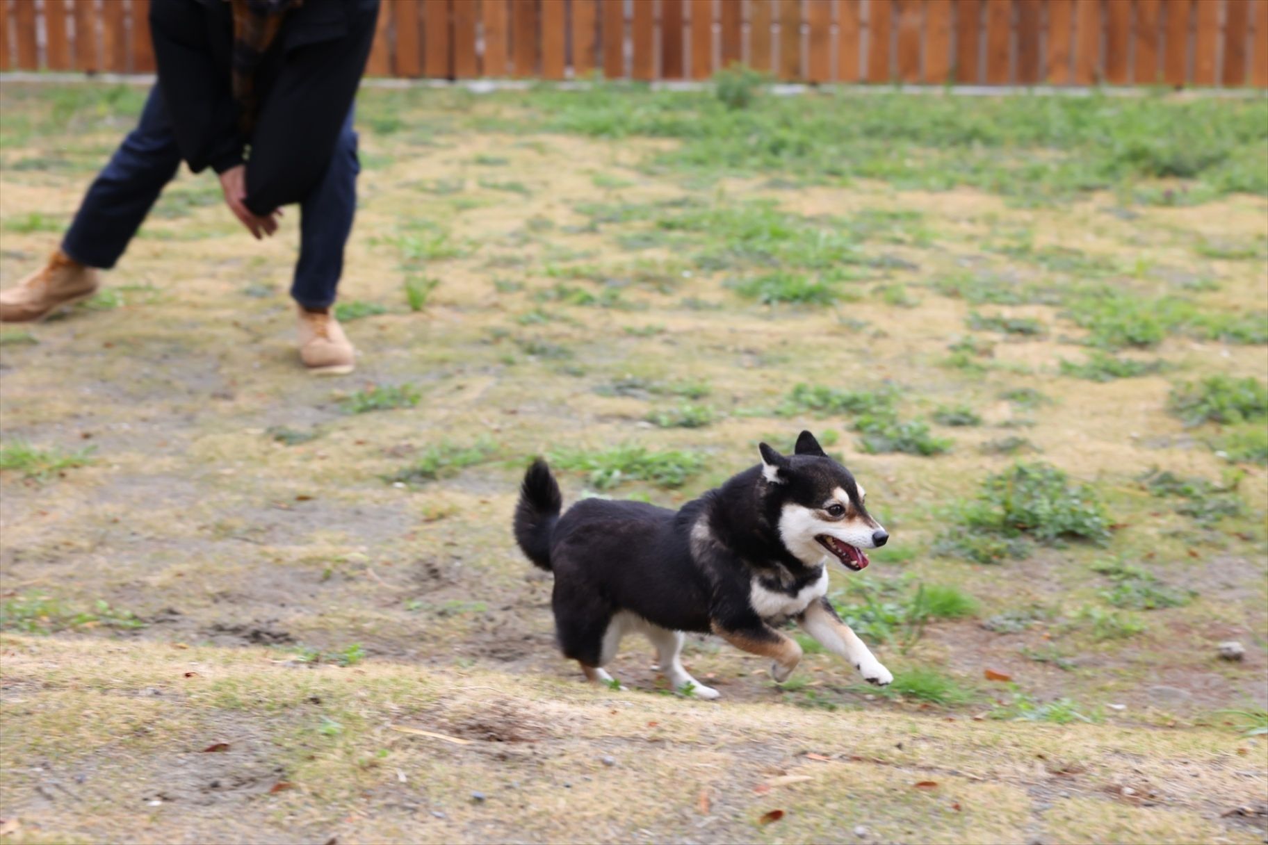 AND LIKE SERIES 別邸2nd-image