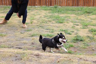 AND LIKE SERIES 別邸2nd-image