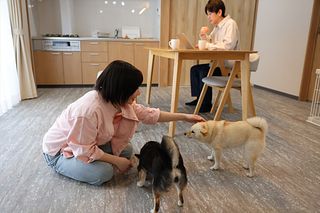 AND LIKE SERIES 別邸2nd-image