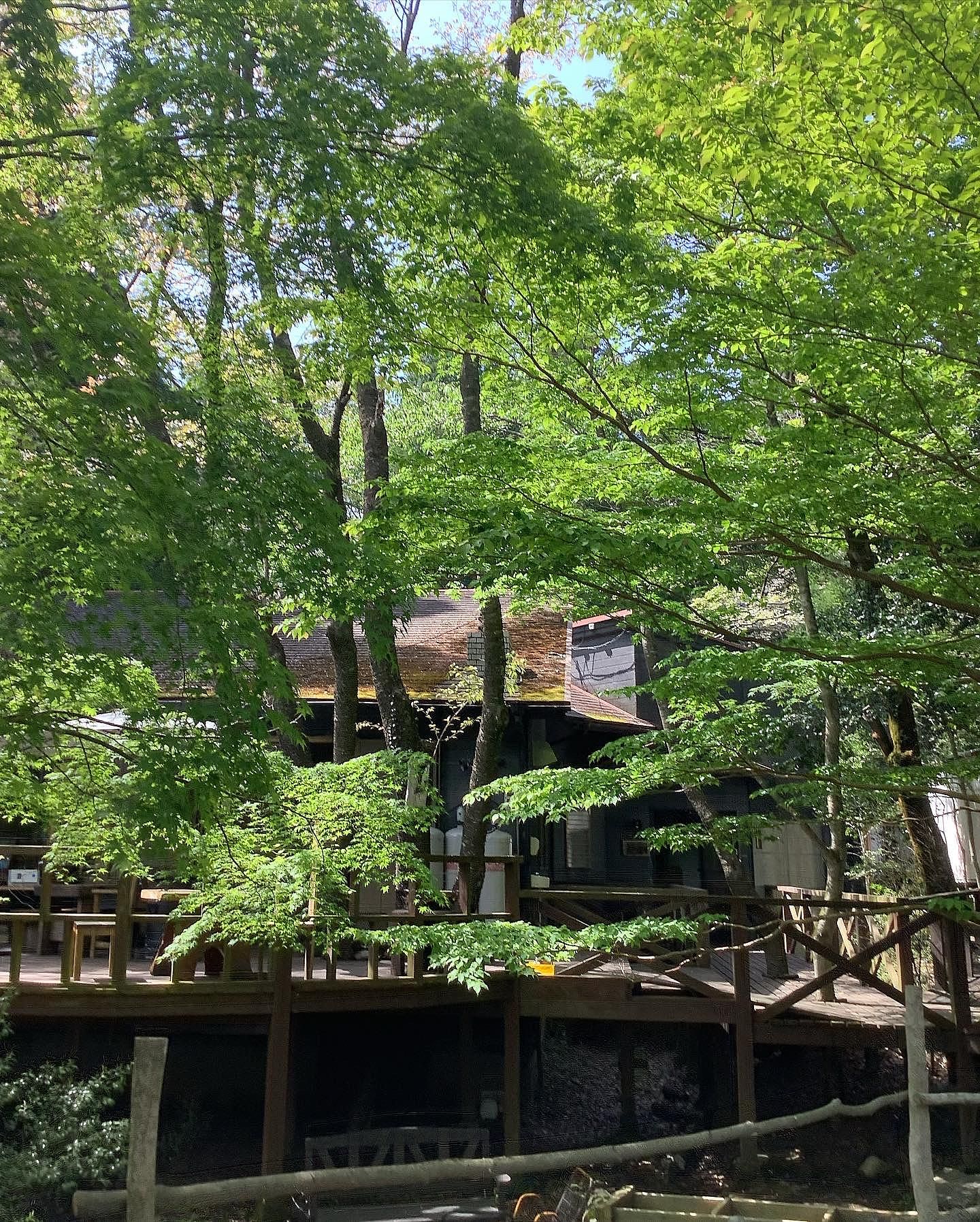 貸別荘・グランピング ひめしゃら/【別館】新燃-image