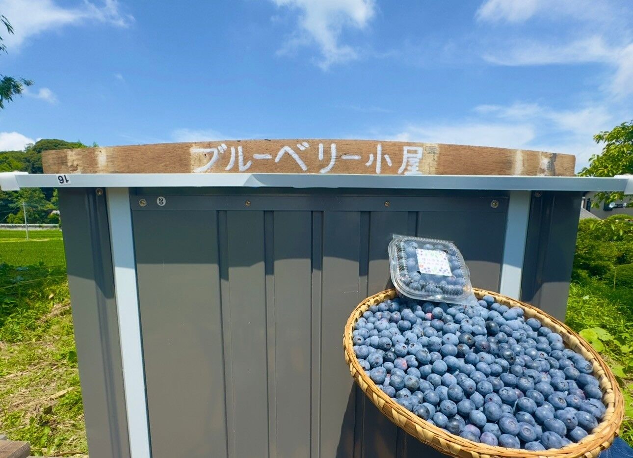 椿HOUSE-image