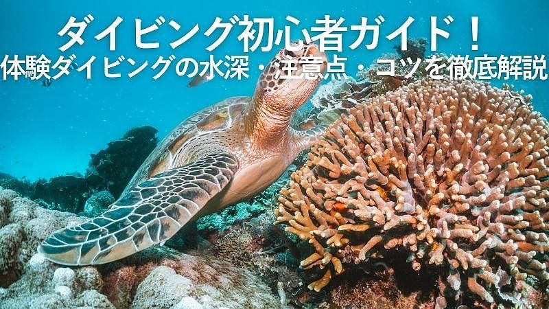 ダイビング初心者ガイド！体験ダイビングの水深・注意点・コツを徹底解説
