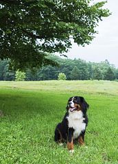 ヒルズテラス函館/ヴィラタイプ/ユーカリ-image