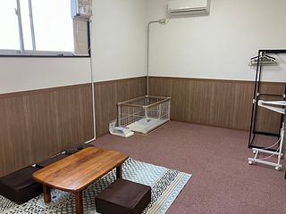 犬用ゲージ設置の様子
