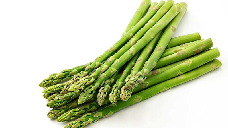 6月に旬を迎える野菜と選び方