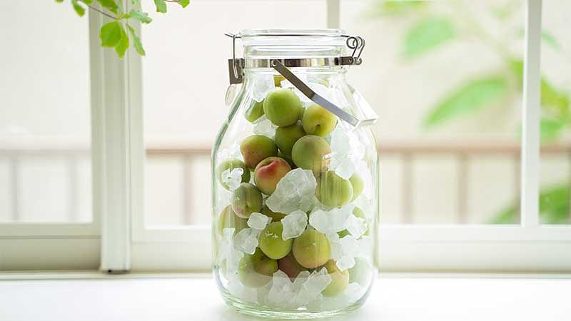 自家製梅酒と梅シロップ