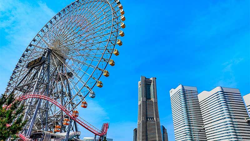 7月8月の猛暑を乗り切る注意点