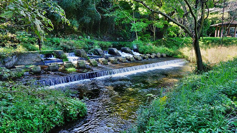 無料で遊べる公園と施設