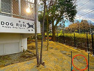 熱海ヴィーナス-image