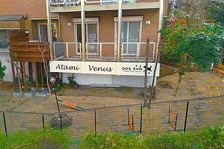 熱海ヴィーナス-image