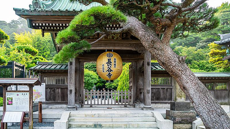 大人の日帰り観光に最適な鎌倉横浜