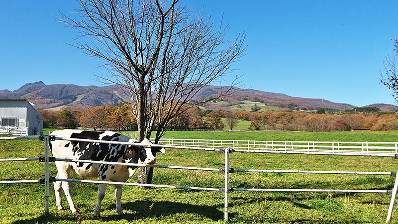 車で巡る関東ドライブコース