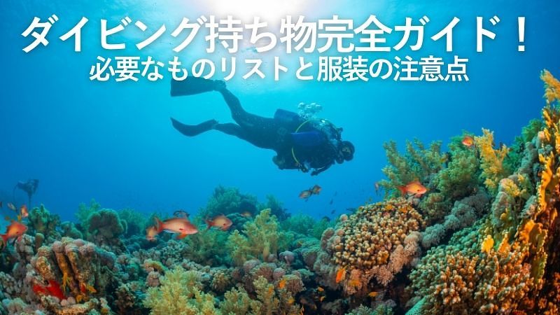 ダイビング持ち物完全ガイド！必要なものリストと服装の注意点