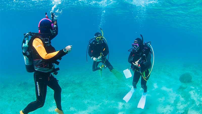 スキューバダイビングの基礎知識