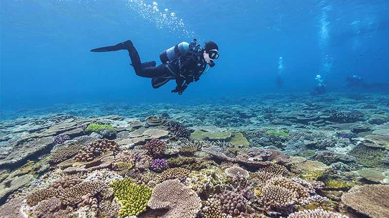 体験ダイビングの深さと潜水時間