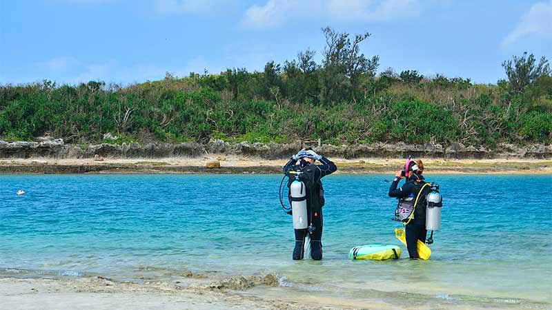安全に楽しむための注意点
