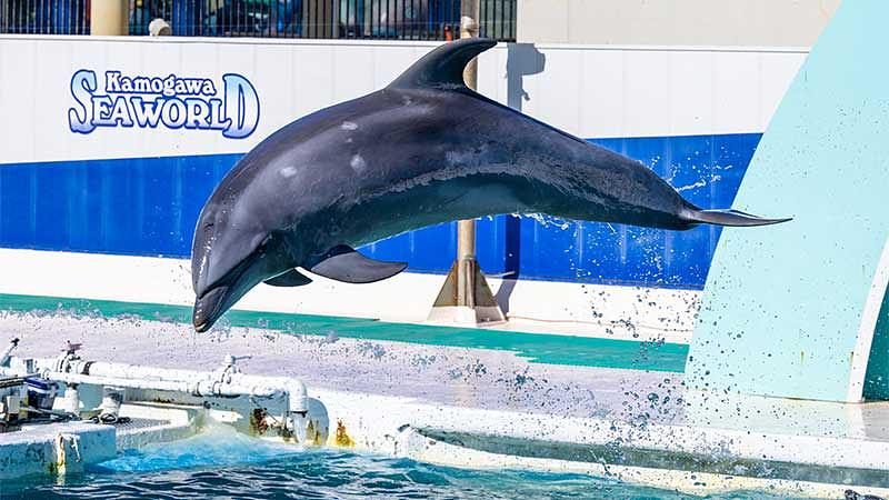 エリア別人気観光地紹介