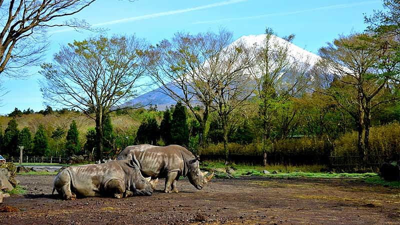 小学生が喜ぶ観光スポット