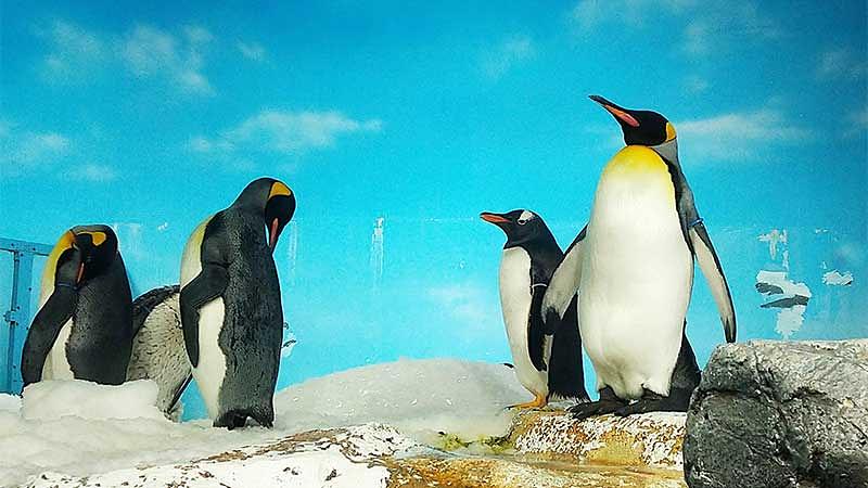 幼児連れに人気のスポット