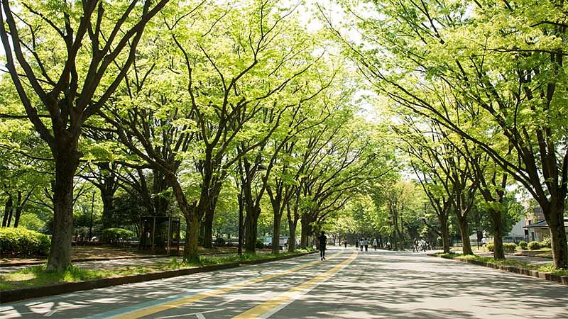 よくある質問（FAQ）