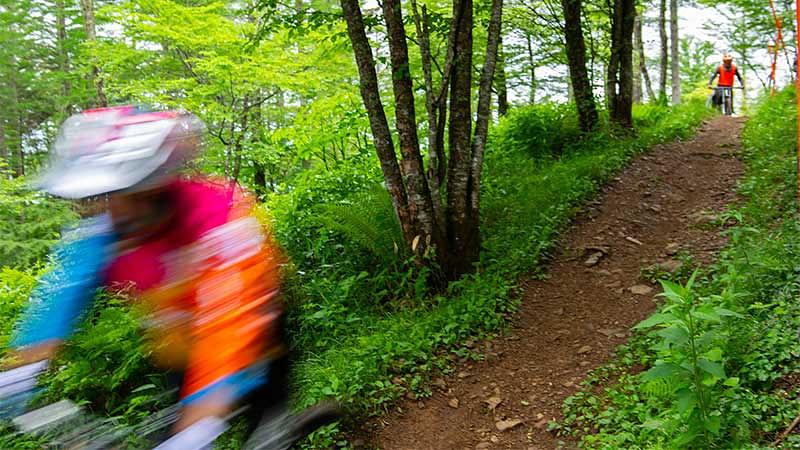 周辺の貸別荘・宿泊もチェック