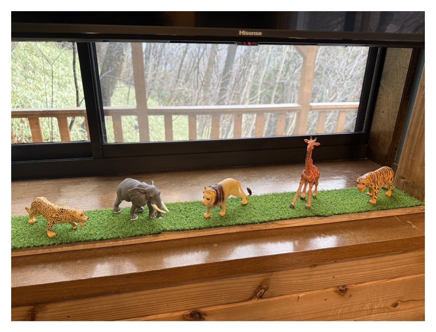 そら豆ん家-image