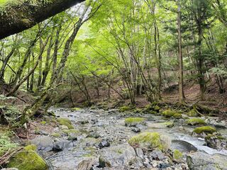 道志川