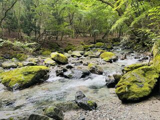 道志川