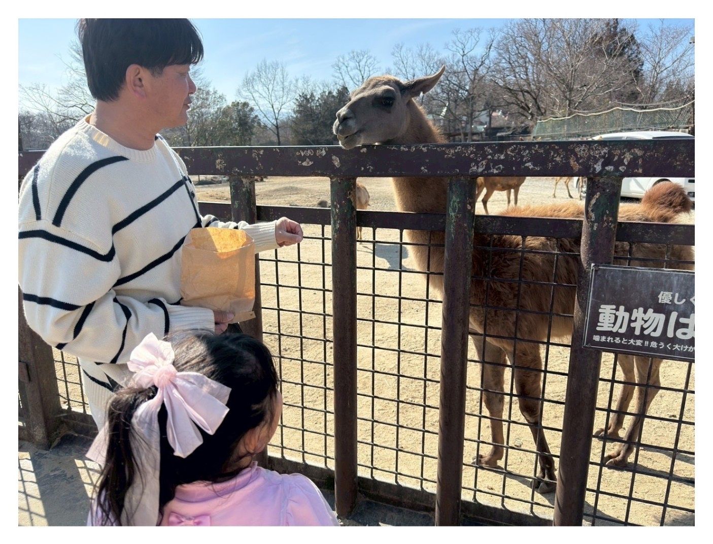 そら豆ん家-image