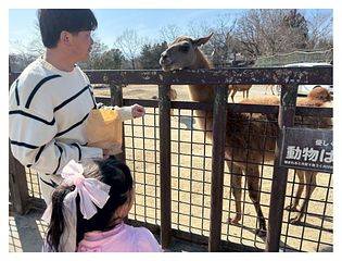 そら豆ん家-image