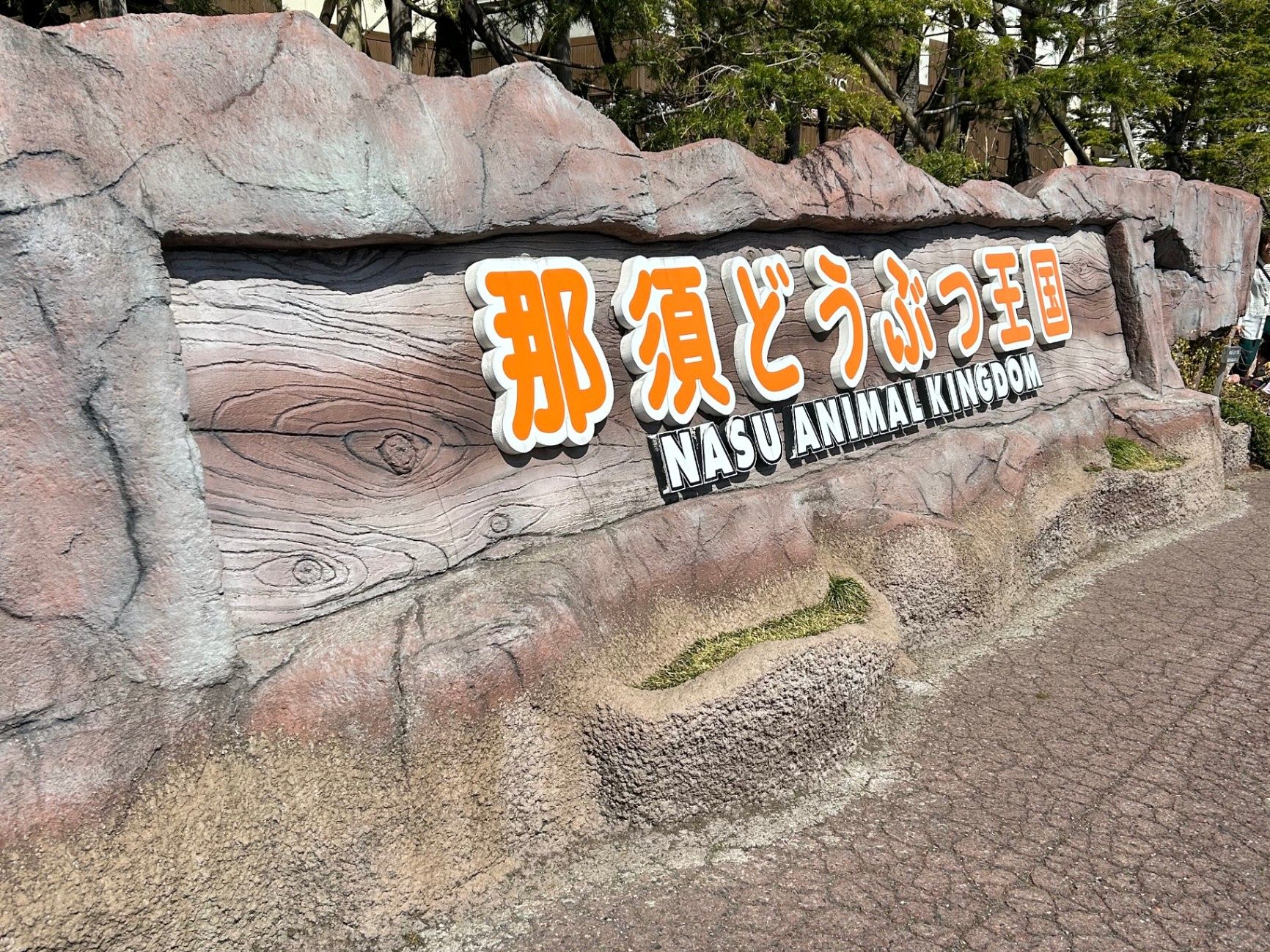 そら豆ん家-image