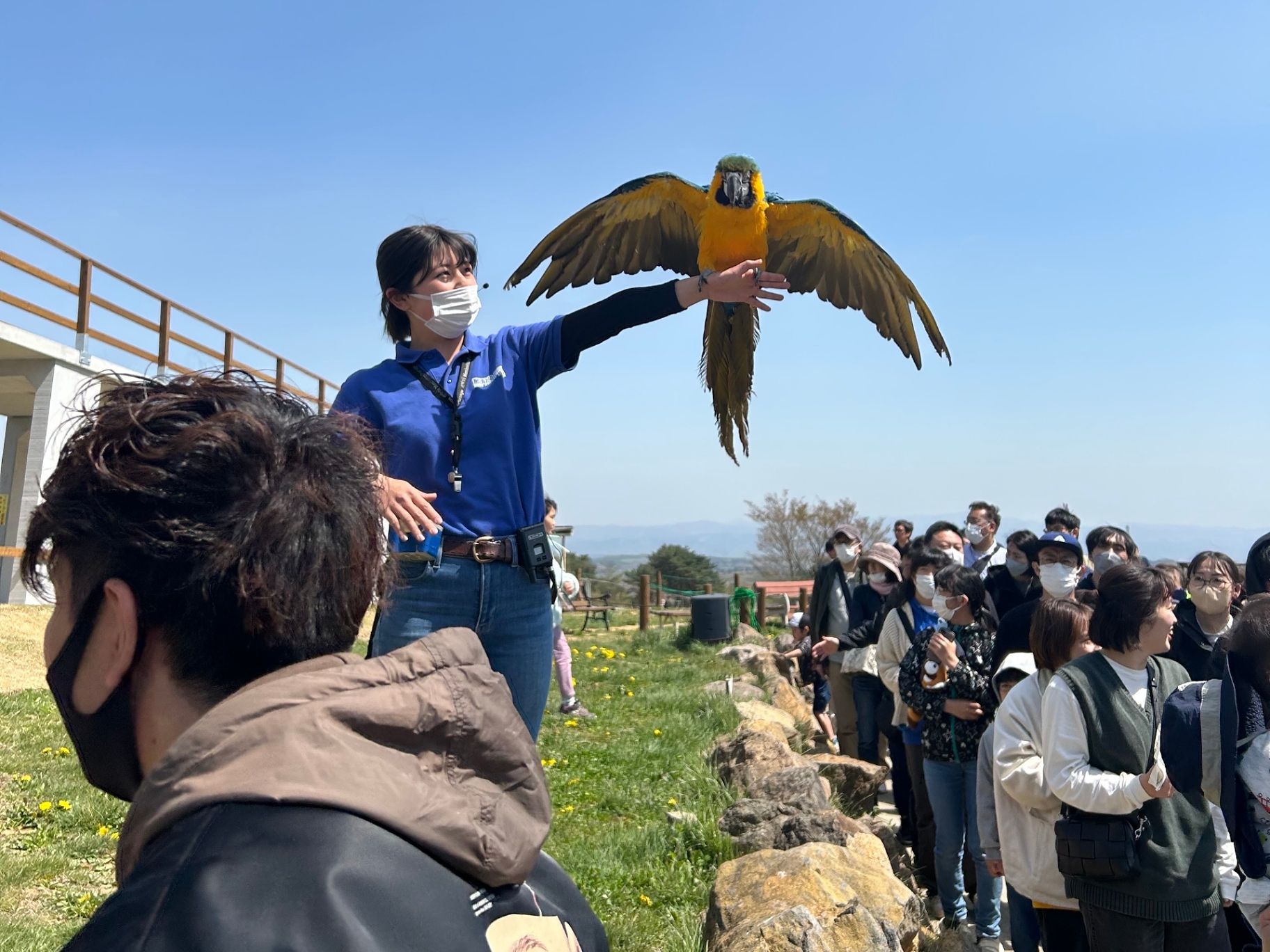 そら豆ん家-image