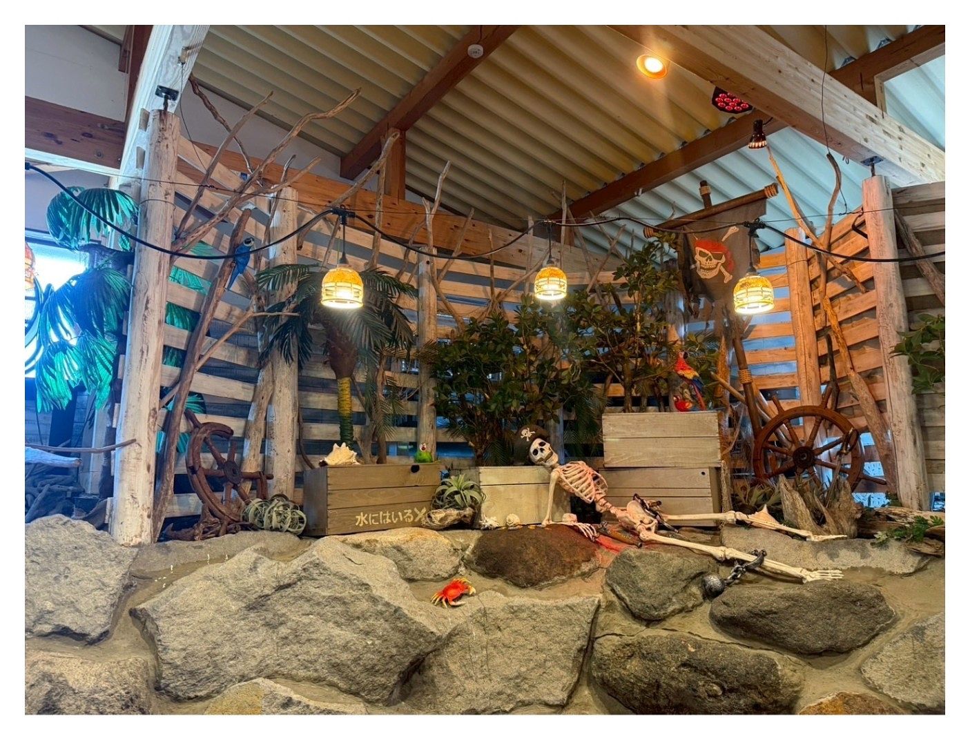 そら豆ん家-image