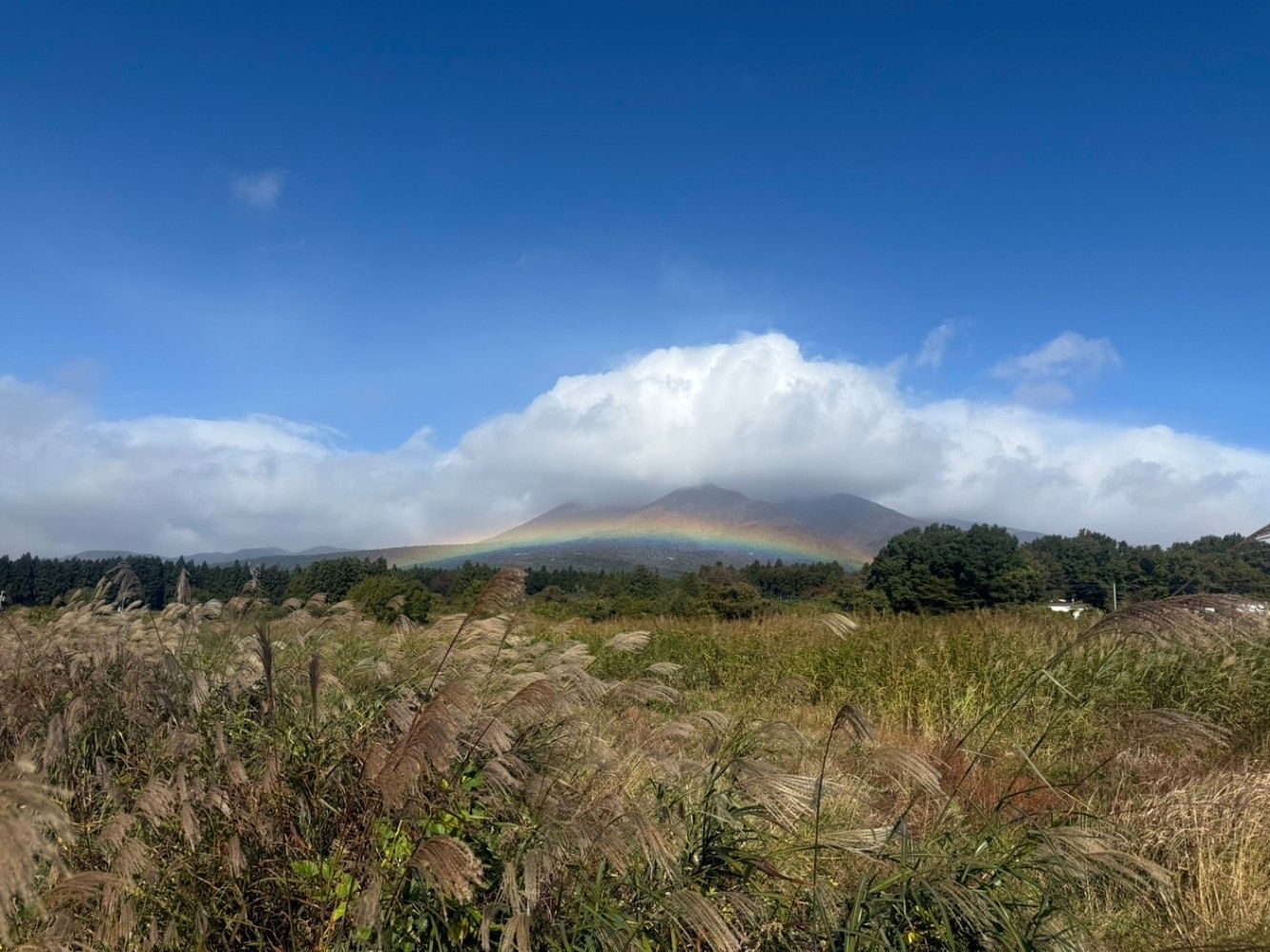 そら豆ん家-image