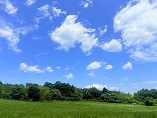 そら豆ん家-image