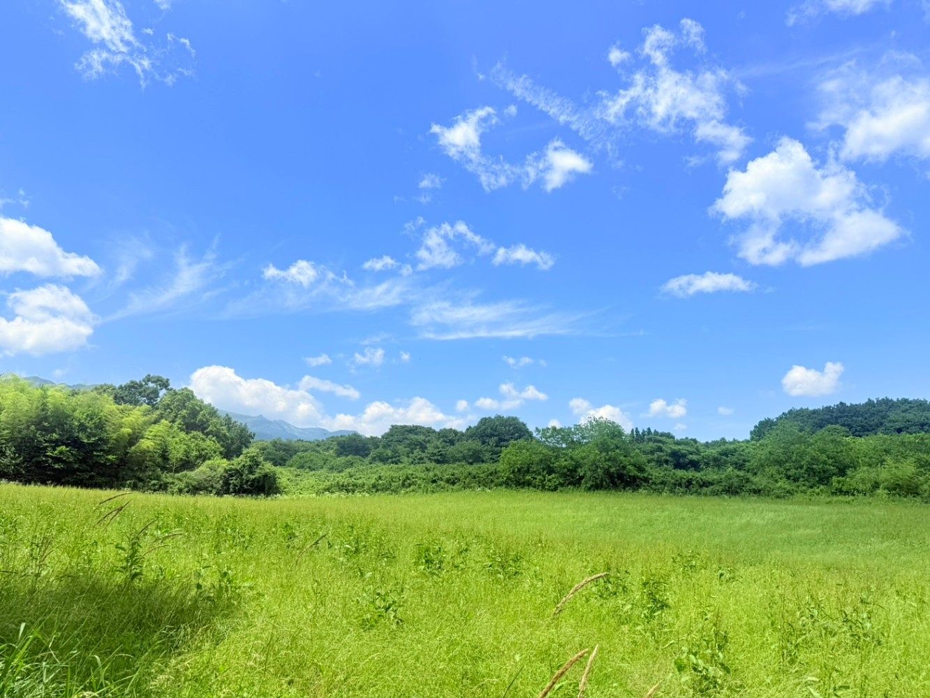 そら豆ん家-image