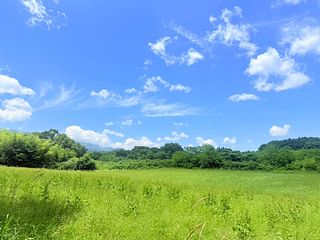 そら豆ん家-image