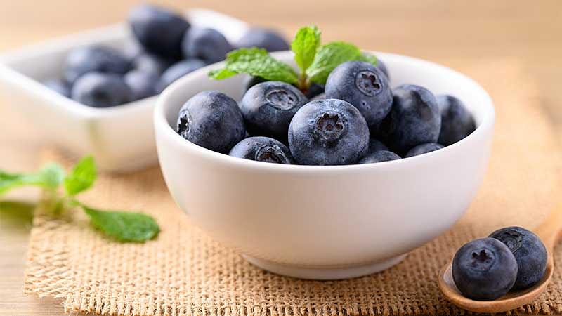 プロが伝授！美味しいブルーベリーの見分け方と3倍楽しむコツ